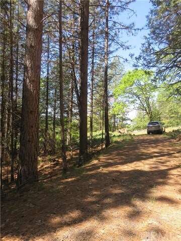 gravel rd. ends at large cleared open area