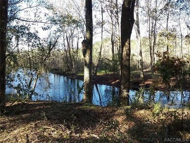 Back of Property