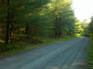 1253 Pennsylvania 590, Lackawaxen, PA 18435 - photo 2