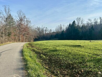Lot 7 Hensley Rd, East Bernstadt, KY 40729 - photo 5