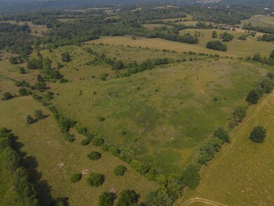 720 Oregon Rd, Versailles, KY 40383 - photo 7