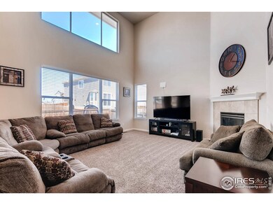 3883 Horiuchi St, Brighton, CO 80601 - photo 6