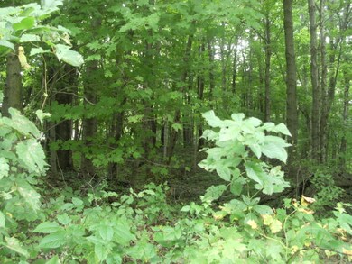 Wooded acreage
