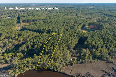 LOT 116 La Mare Ln, Waverly, GA 31565 - photo 2