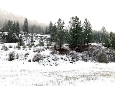 35XX Rockcut Rd, Kettle Falls, WA 99141 - photo 6