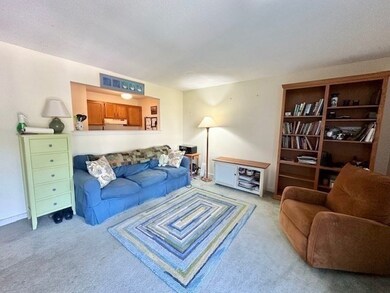 48 Evergreen Rd unit 313, Leeds, MA 01053 - photo 6