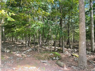 Lot 24 Westcolang Rd, Lackawaxen, PA 18435 - photo 5