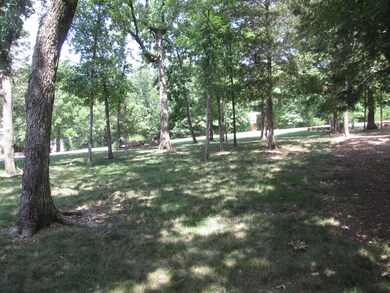 172 Overton Dr, Kimberling City, MO 65686 - photo 3