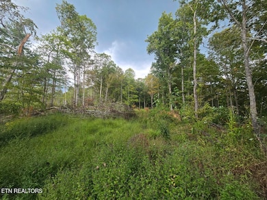 0 River Rd unit 1315659, Huntsville, TN 37756 - photo 2