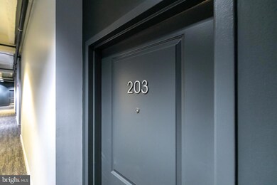 Delancey Lofts unit 203, Washington, DC 20009 - photo 3