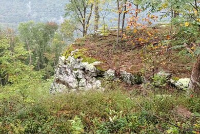 0 High Point Ln unit 1326155, Jasper, TN 37347 - photo 6