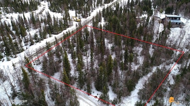 000 Wind Song Dr, Anchorage, AK 99516 - photo 5