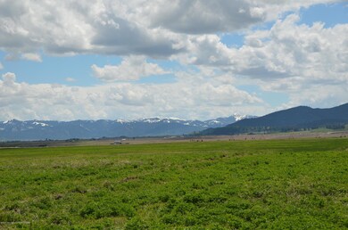 South. View