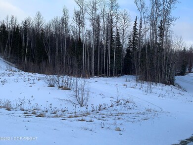 IMG-7253
