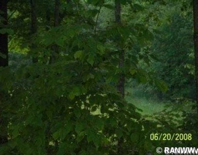 0 Cedar Swamp Rd unit 827193, Strickland, WI 54895 - photo 5