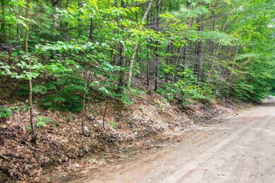 Lot H-15 Tobey, Campton, NH 03223 - photo 2