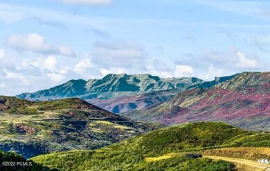 Timp Up Close
