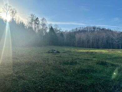 Lot 10 Hensley Rd, East Bernstadt, KY 40729 - photo 5