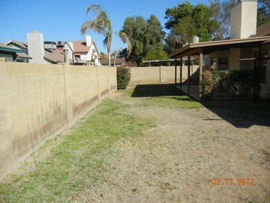 back yard