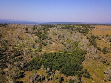 Aerial Looking West