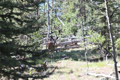 102 Kiwi Ct, Jefferson, CO 80456 - photo 6