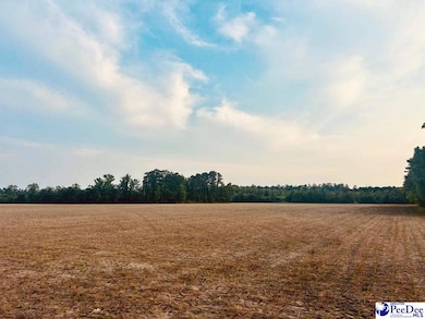 0 S Carolina 9, Nichols, SC 29581 - photo 3