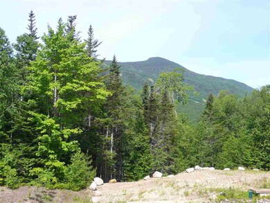 36 Lost Pass Rd unit Lot 22, Waterville Valley, NH 03215 - photo 3