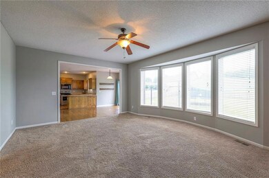 504 River Birch Rd, Raymore, MO 64083 - photo 3