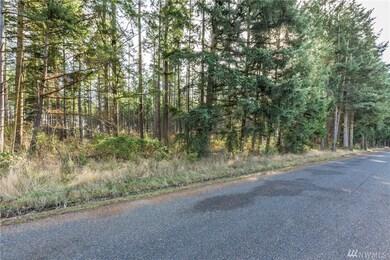11404 Harris Rd SE, Yelm, WA 98597 - photo 3