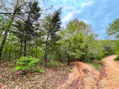 0 Timbercrest Rd, Viola, AR 72583 - photo 7