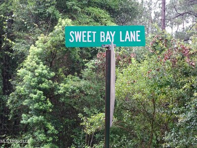 0 Sweetbay Ln unit 4120426, Wiggins, MS 39577 - photo 4