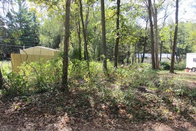 000 Ln 420 Jimmerson Lake, Jamestown Township, IN 46737 - photo 4