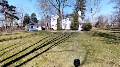 222 Brevoort Side Yard