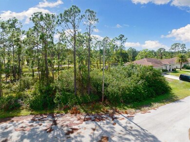 1090 Darlington St, Lehigh Acres, FL 33974 - photo 4