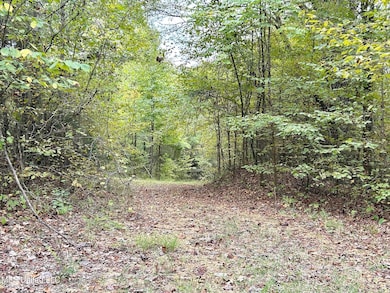 5317 Highway 3, Sarah, MS 38665 - photo 7