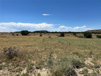 Lot 17 Longhorn Ranch unit 17, Model, CO 81059 - photo 4