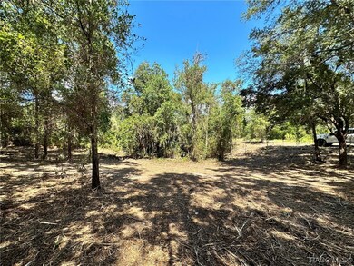 3190 N Chameleon Point, Crystal River, FL 34428 - photo 5