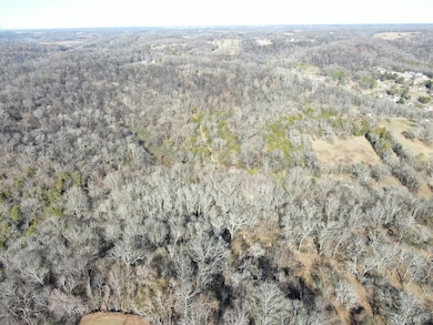 0 N 3rd St, Pulaski, TN 38478 - photo 3