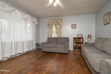 313 Amber St, Kingsport, TN 37660 - photo 4