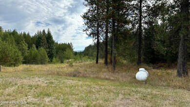 143 Homestead Rd, Athol, ID 83801 - photo 4