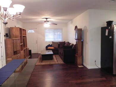 View from French Doors
