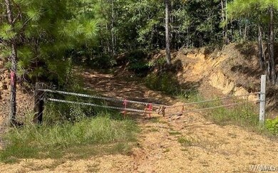 FRONT GATE EASEMENT ENTRY FROM ROBERTSON ROAD