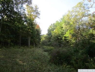 0 Cairo Junction Rd unit 123362, Catskill, NY 12414 - photo 3