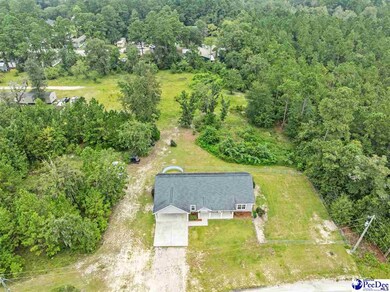 4867 Wolf Trail, Conway, SC 29527 - photo 6