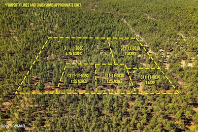 915BirdsongWay-Lakeside-AZ-ParcelLines-1