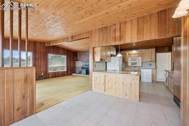 150 Apache Trail, Woodland Park, CO 80863 - photo 6