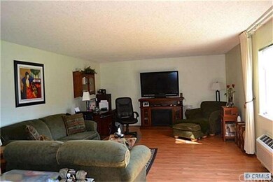 Large Living Room