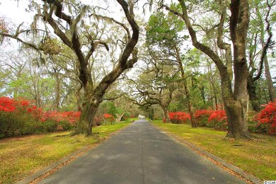108 Landing Rd unit 108, Pawleys Island, SC 29585 - photo 7