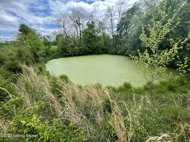 1 & 7 Burgin Noel Rd, Bloomfield, KY 40008 - photo 4