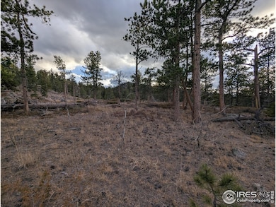 29 Santa Clara Ct, Red Feather Lakes, CO 80545 - photo 3